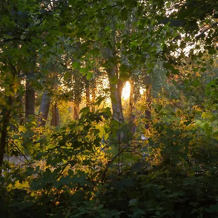 Wohnen Am Suedstrand - 0 4 * Wyk auf Föhr