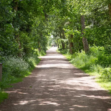 Apartman Wohnen Am Suedstrand - 0 4 Wyk auf Föhr